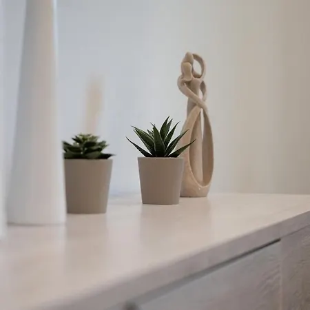 Filoxenia Mg Projects Sereno 2 *